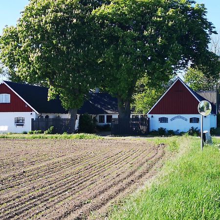 Knappagarden Glemminge Bagian luar foto