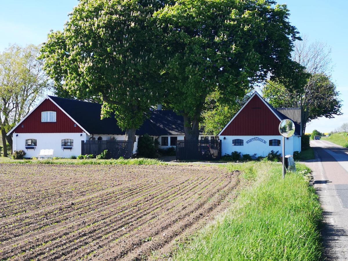 Knappagarden Glemminge Bagian luar foto