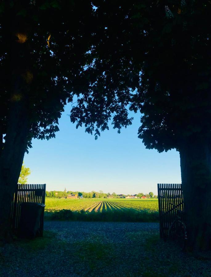Knappagarden Glemminge Bagian luar foto